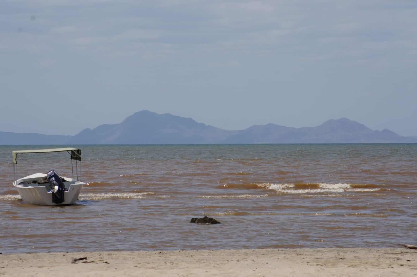 Lake Turkana, Kenya, near where the fossil skeleton known as Turkana Boy was found in 1984. A presidential taskforce is consulting Turkana communities on a planned 'Home of Human Origins' museum at nearby Kalokol.