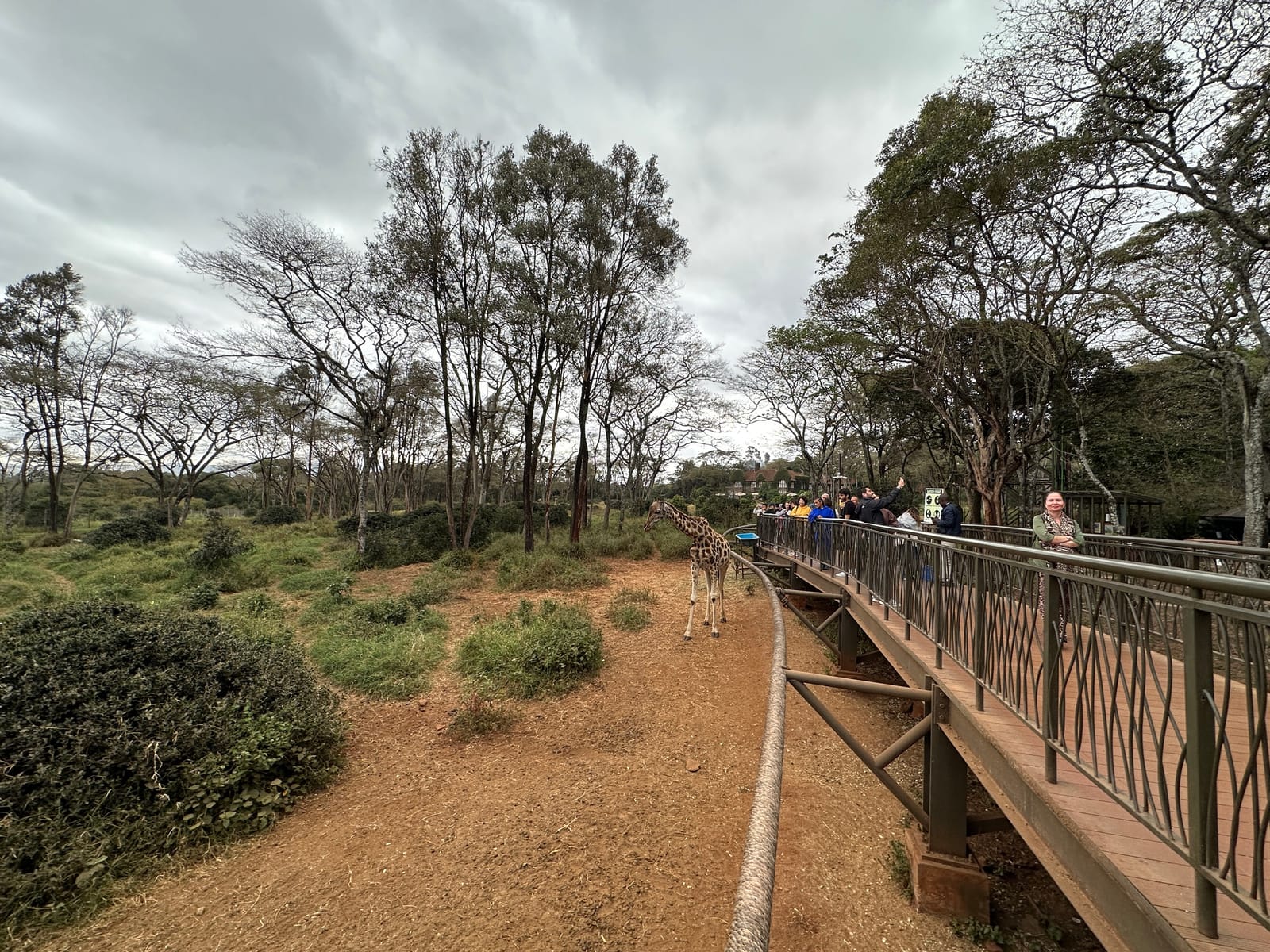 A wooden walkway through acacia woodland at the Giraffe Centre in Langata, Nairobi (file photo, 2023).