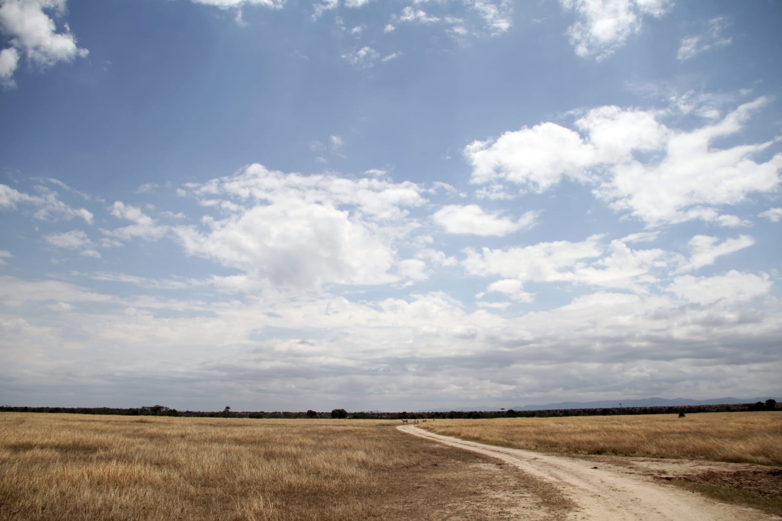 Savanna at Ol Pejeta Conservancy, Laikipia, Kenya (file photo, 2010). It does not show The Stables.