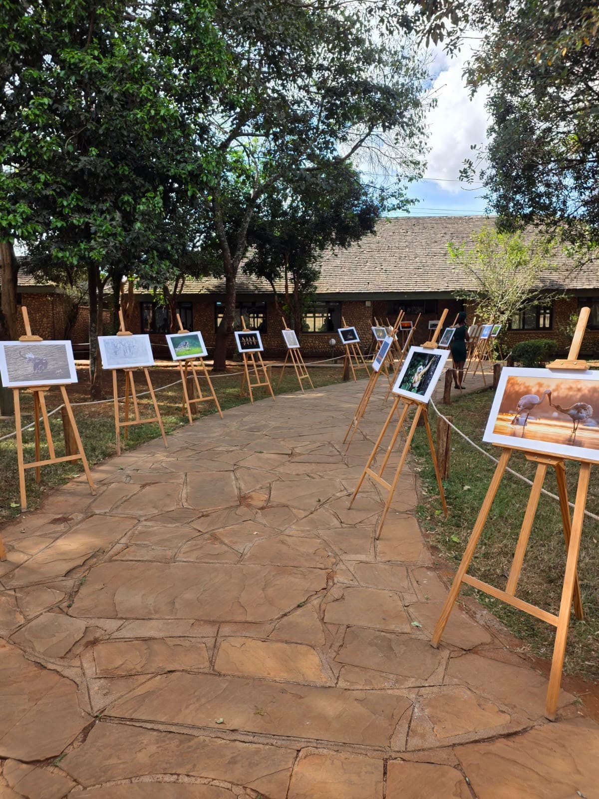 Wildlife photographs on display in the outdoor exhibition area. Photo: Tang Yong