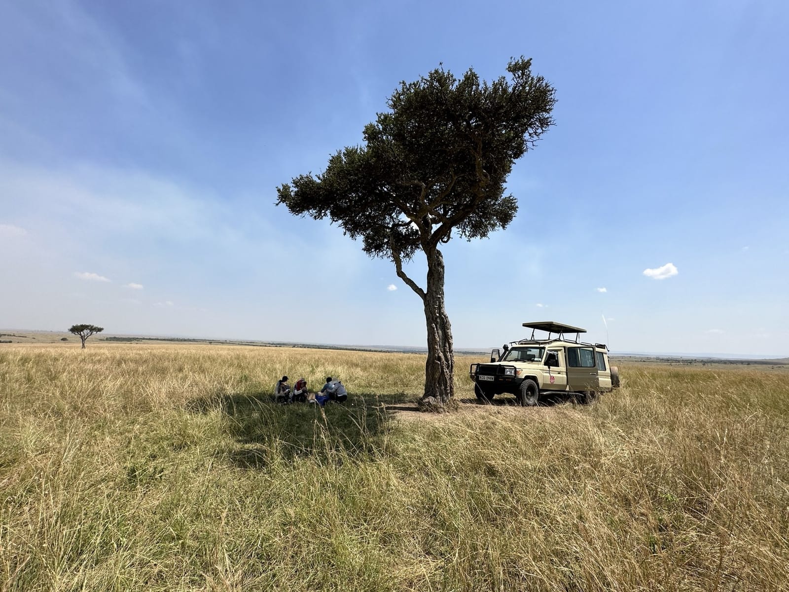 A safari vehicle parked in the shade of an acacia on the Masai Mara plains, Kenya (file photo, July 2023).