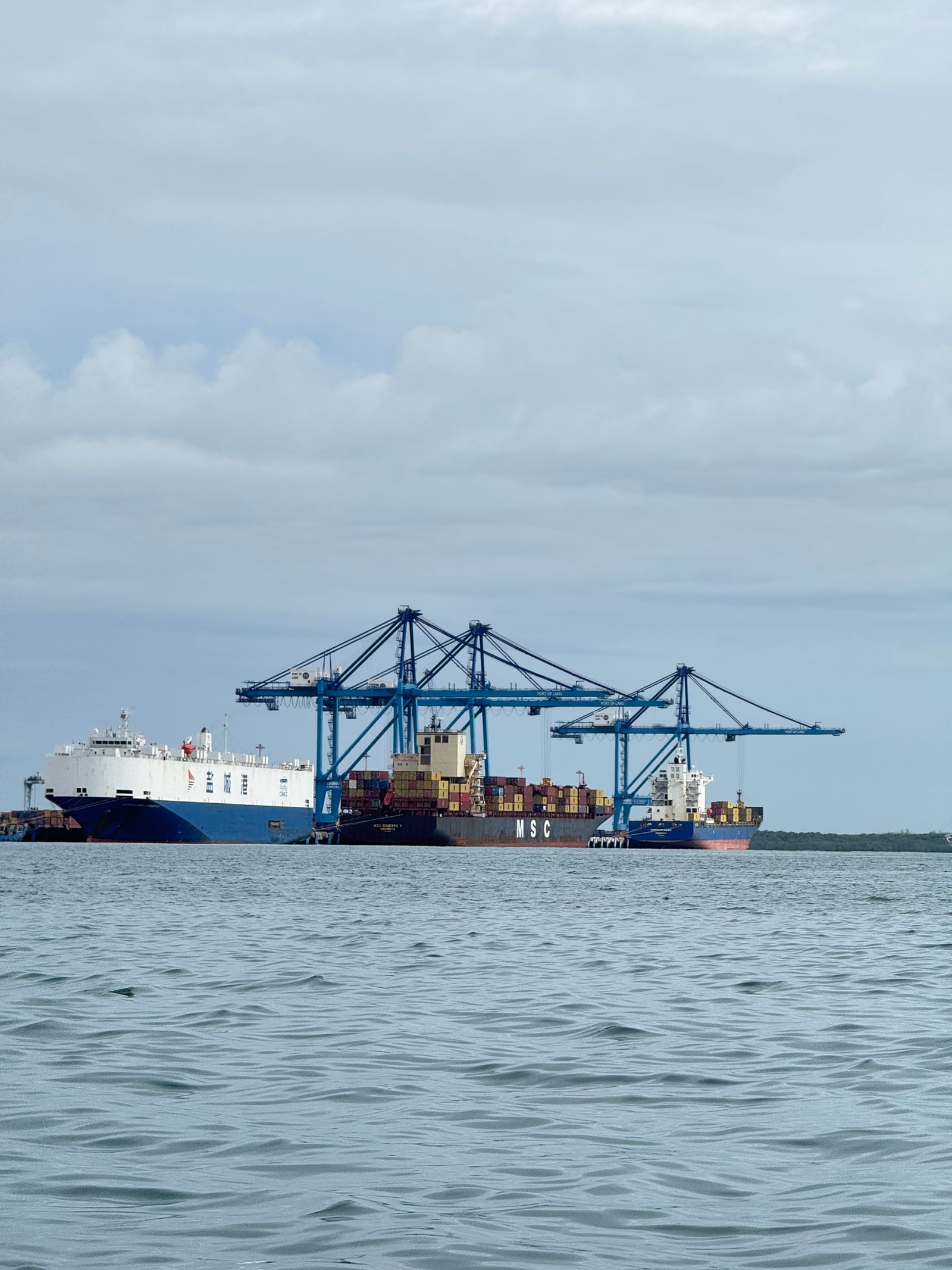 Ship-to-shore cranes and a container ship at Lamu Port, Kenya (file photo, June 2026).